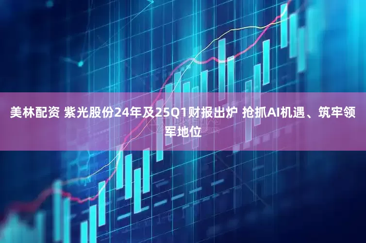 美林配资 紫光股份24年及25Q1财报出炉 抢抓AI机遇、筑牢领军地位