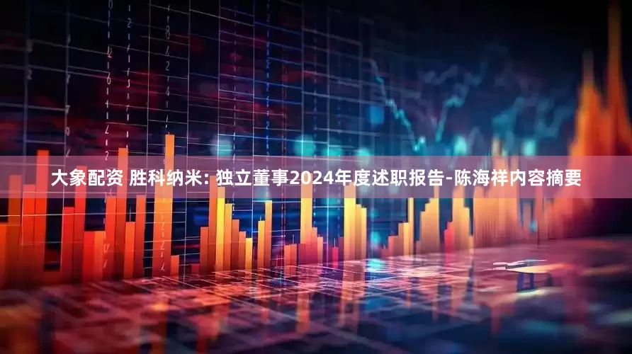 大象配资 胜科纳米: 独立董事2024年度述职报告-陈海祥内容摘要