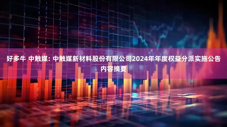 好多牛 中触媒: 中触媒新材料股份有限公司2024年年度权益分派实施公告内容摘要