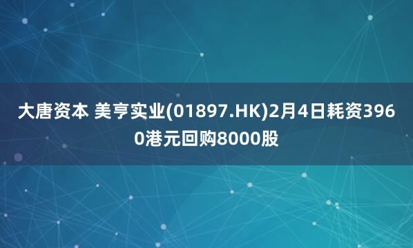大唐资本 美亨实业(01897.HK)2月4日耗资3960港元回购8000股