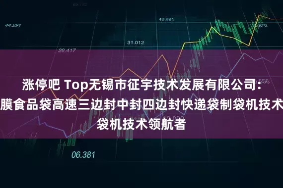 涨停吧 Top无锡市征宇技术发展有限公司：复合薄膜食品袋高速三边封中封四边封快递袋制袋机技术领航者